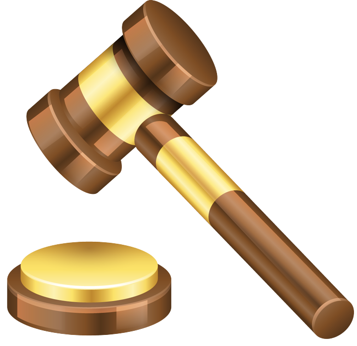 Judge Hammer
